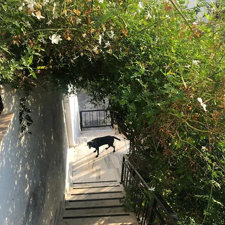 Small House In Bodrum Апартаменты