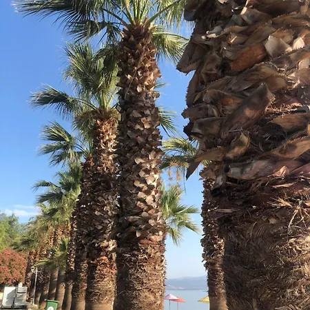 Small House In Bodrum Миляс